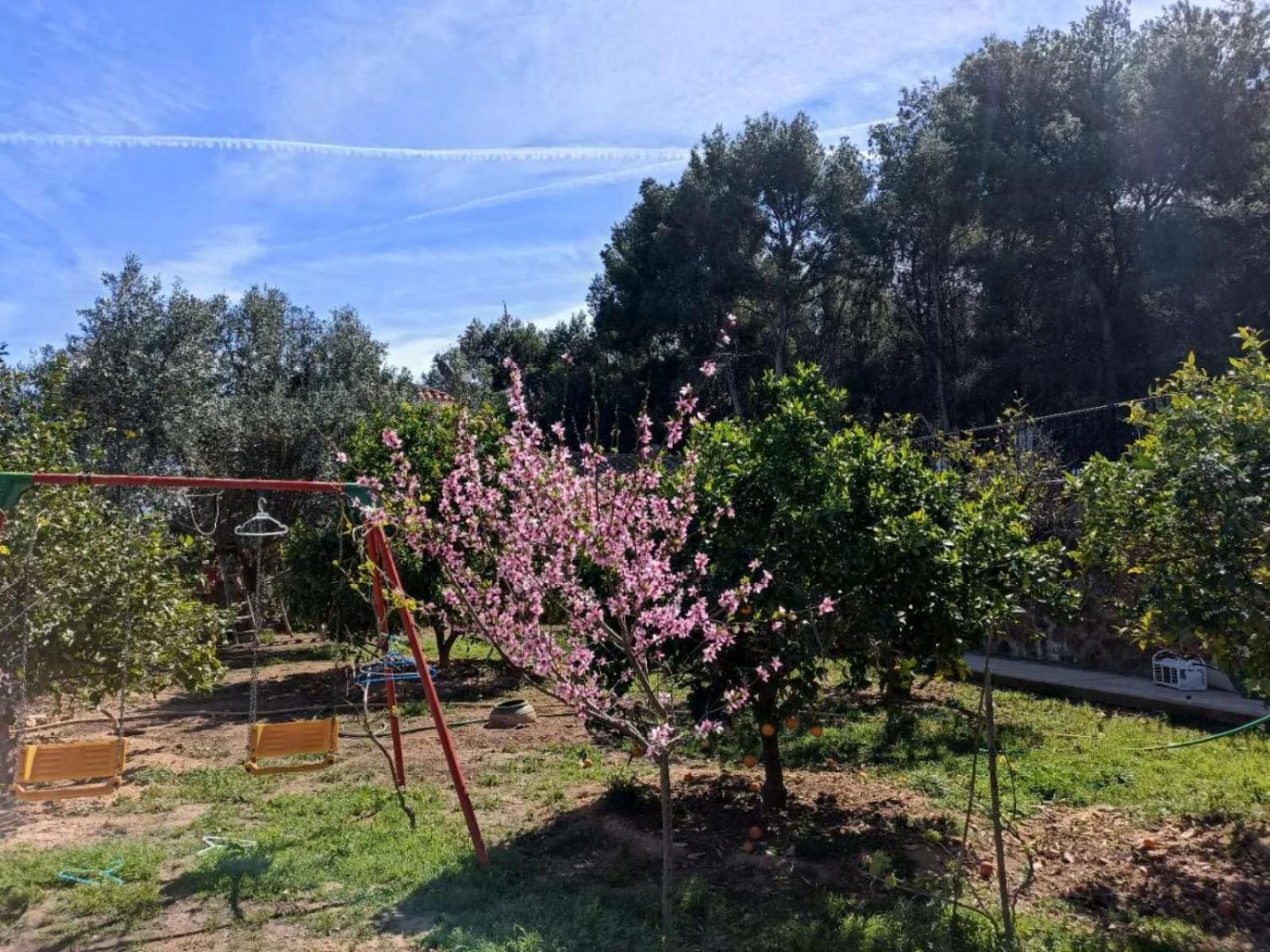 Bedroom With Private Bathroom And Two-Bedroom Family Suite In Quiet Forest Country House 80M2 Large Swimming Pool Music Town Lliria The Garden And Swimmingpool And Garden Are Shared Eksteriør billede